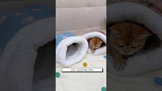 Cat sleeping bag Link is on bio or copywwwniopetscom [upl. by Anahsek]