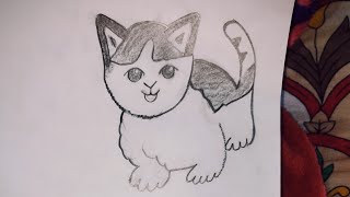 How to Draw CAT  CAT drawing  Easy drawing cate [upl. by Mihe]