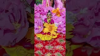 Pain killer 🌷🙏❤️comment minivlog youtubeshorts like radhakrishna gopal vlog subscribe [upl. by Minta]