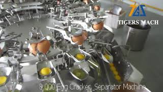 Industrial automatic egg cracking machine egg yolk separators bakery factory use [upl. by Worl138]