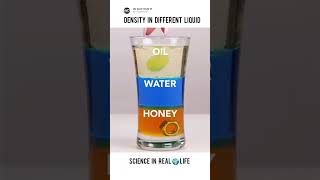 Density in Different Liquid  Science in Real 🌍 Life Experiment science expriment [upl. by Ryder]