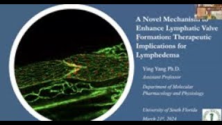 A Novel Mechanism to Enhance Lymphatic Valve Formation Therapeutic Implications for Lymphedema [upl. by Nived]