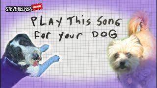 Play this funny song for your dog [upl. by Scheck]