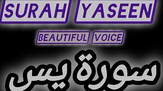 peaceful Quran recitation of Surah YaseenSurah Yaseen full with Arabic surahyaseen quran [upl. by Bathesda]