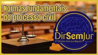 Normas fundamentais do processo civil quotprincípios processuaisquot Artigo 1º do novo CPC [upl. by Christian329]