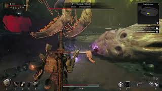 Highlight Remnant 2 Nightmare run Primogenitor 1st try and kill [upl. by Luane]