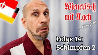 Wienerisch mit Ageh Wirklich  Folge 14 Schimpfen 2 [upl. by Berlinda]