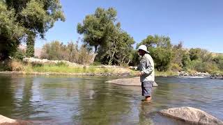 Lower Kern River Fly Fishing for Bass [upl. by Ainesey875]