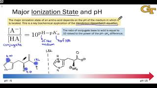 Acidity and Ionization States of Amino Acids [upl. by Ecyned848]