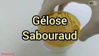 Gélose Sabouraud [upl. by Qooraf]