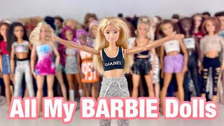 My Huge Barbie Doll Collection 2022 [upl. by Nerra374]