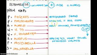 OSTEOMYELITIS  Easy Memorize Technique [upl. by Abbye]