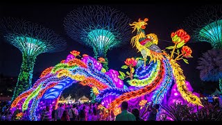 中秋赏灯《滨海湾花园》 Mid autumn lantern festival at garden by the bay Singapore [upl. by Nilek]