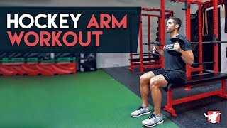 Hockey Arm Workout 🏒💪 [upl. by Nnaacissej123]