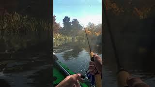 Nice Redfin fishing fishingplanet fypシ゚viral fypyoutube fypyoutube pcgaming [upl. by Eanrahs]