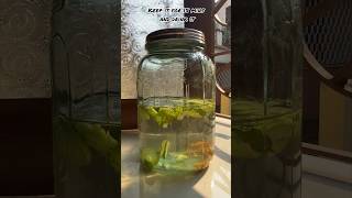 Detox water  a healthy drink to keep yourself fit 😋😋🔥🔥shorts viralvideo cooking [upl. by Ilrac]