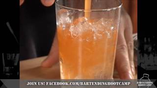 How to make a Peach Martini  Drink recipes from Bartending Bootcamp [upl. by Norga817]