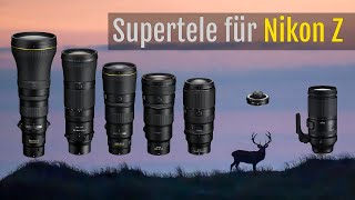 Vergleich – Bezahlbare Superteleobjektive für das Nikon ZSystem – Kaufentscheidung Deutsch [upl. by Acirehs]