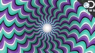 How Optical Illusions Trick Your Brain [upl. by Alaj48]