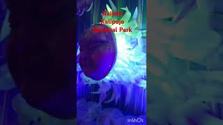 Naihati kalipujo 2024quotNational Parkquot followmypagehighlights ShareThisPostminivlog nationalpark [upl. by Cinderella]