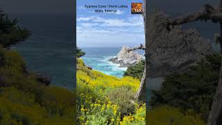 Cypress Cove at Point Lobos State Natural Reserve [upl. by Nelg]