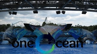 One Ocean Full Show SeaWorld Orlando [upl. by Ferrick]