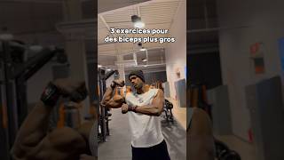 3 exercices pour des biceps plus gros musculation biceps shorts [upl. by Hobart]