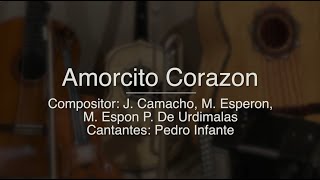 Amorcito Corazon  Puro Mariachi Karaoke  Pedro Infante [upl. by Jonis]