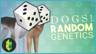 DOGS Random Genetics CHALLENGE Sims 4 [upl. by Pena527]