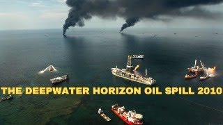 263 THE DEEPWATER HORIZON OIL SPILL 2010🛢️🔥🌊🐬⚠️deepwaterhorizon oilspill environmentaldisaster [upl. by Rolyat]