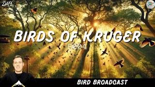 Birds of Kruger Episode 4  Bird Broadcast [upl. by Macknair551]