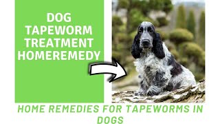 Dog tapeworm treatment home remedy  Home Remedies for Tapeworms in Dogs [upl. by Anivlis]