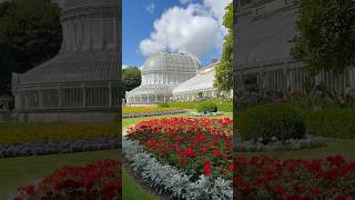 Botanic Gardens  Belfast Northern Ireland shorts Belfast botanicalgarden garden [upl. by Krid684]