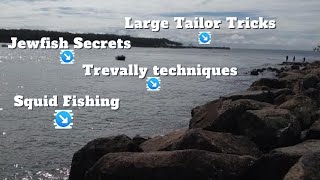 How to fish the GOLD COAST SEAWAY with lures and baits [upl. by Anirret558]