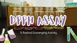 DPPH assay  Radical scavenging activity   Calculation and procedure for beginner [upl. by Hunsinger]