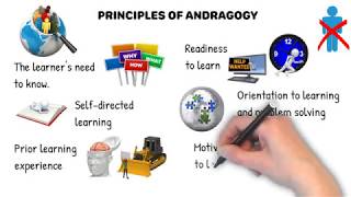 Principles of Andragogy [upl. by Teodora449]