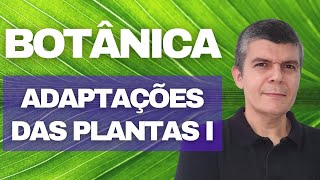 BOTÂNICA  PARTE 4  ADAPTAÇÕES DAS PLANTAS I [upl. by Anrev666]