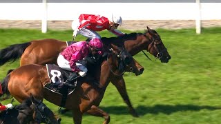 Mystic Park wins the Listed Lindauer Stewards Stakes [upl. by Naujak]