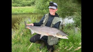 Laksefiskeri i Skjern å  Jeg fanger en kvotelaks  Laks 92 cm og 657 kg 172020 [upl. by Amandi]