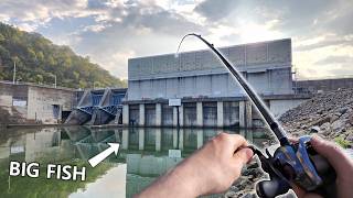 I CANT STOP catching BIG Fish in this Spillway [upl. by Bernardo]