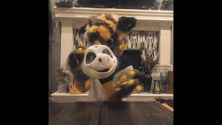 Unboxing Fursuit Head Base furry fursuit unboxing furries fursuiting animal [upl. by Jessa]