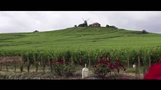 Le Vignoble Bollinger [upl. by Ipoillak46]