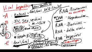 Viral Hepatitis Made Simple [upl. by Hairahcez]