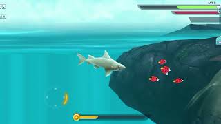 मछली ने पकरा मछली को 🐳 fish cartoon video [upl. by Sandye693]