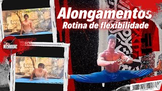 Alongamentos antes do Treino  Alongamento matinal  flexibilidade [upl. by Cynthy687]