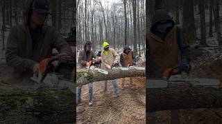 Stihl 500i vs Stihl 400c vs Stihl 291 stihl chainsawman chainsaw cuttingwood madeingermany [upl. by Inimod]