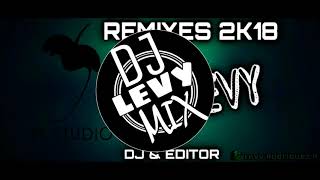 •MixX   AmbientÒn   del Año  Megamix Variado  DJ LEVY MIX ATTE DJ LUJAN 2k18 [upl. by Mou95]