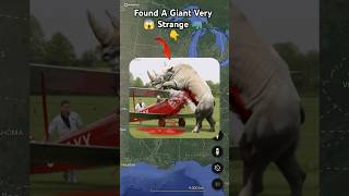 Found Giant Strange Rhino 🦏🤯 on google maps and google earth 🌎 shots hrgoogleearth [upl. by Studley]