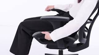 High Back Ergonomic Office Chair with Adjustable Lumbar Support and Armrest [upl. by Nera]