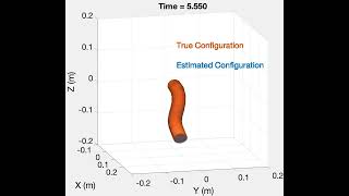 Full State Estimation of Soft Robots From Tip Velocities A CosseratTheoretic Boundary Observer [upl. by Odelia]